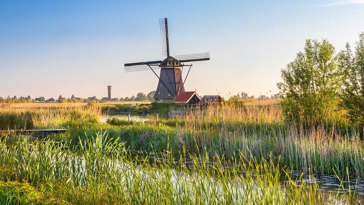 Coronavirus Travel Restrictions for the Netherlands