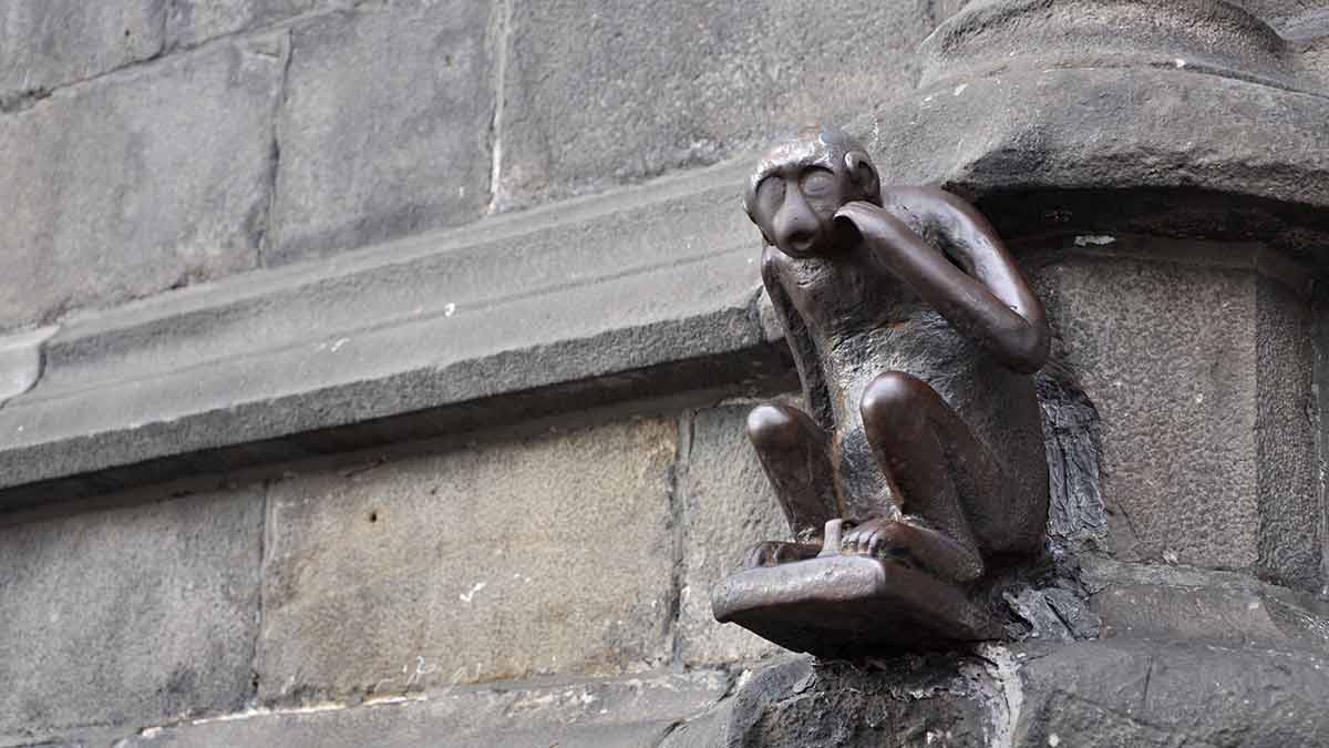 City Hall Monkey Statue in Mons