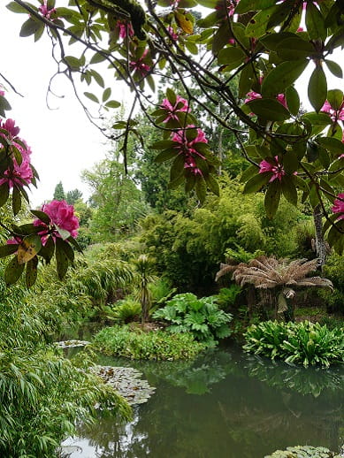 Lost Gardens of Heligan in Cornwall