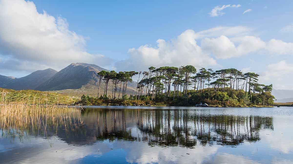 Parc national du Connemara à Galway
