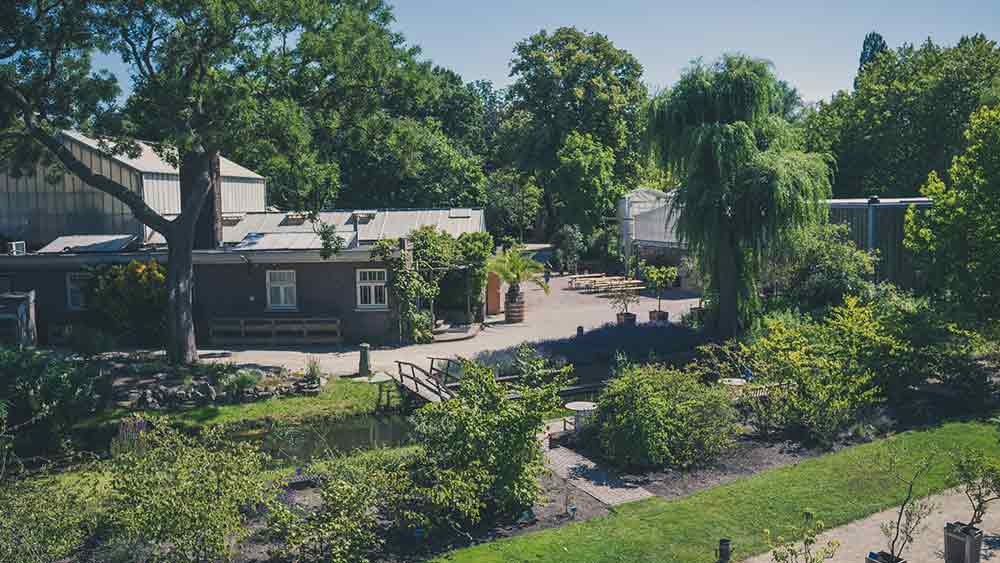 Botanical Gardens in Delft, Holland