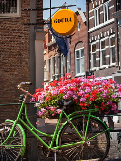 Explore Gouda in the Netherlands