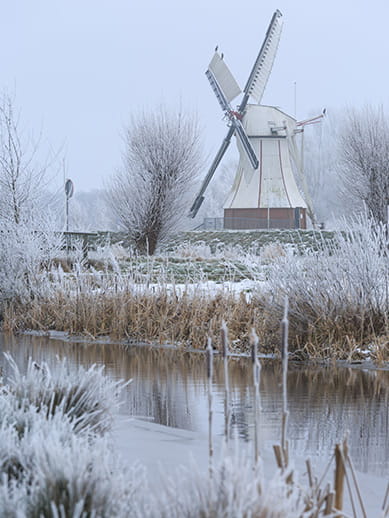 Winter in the Netherlands