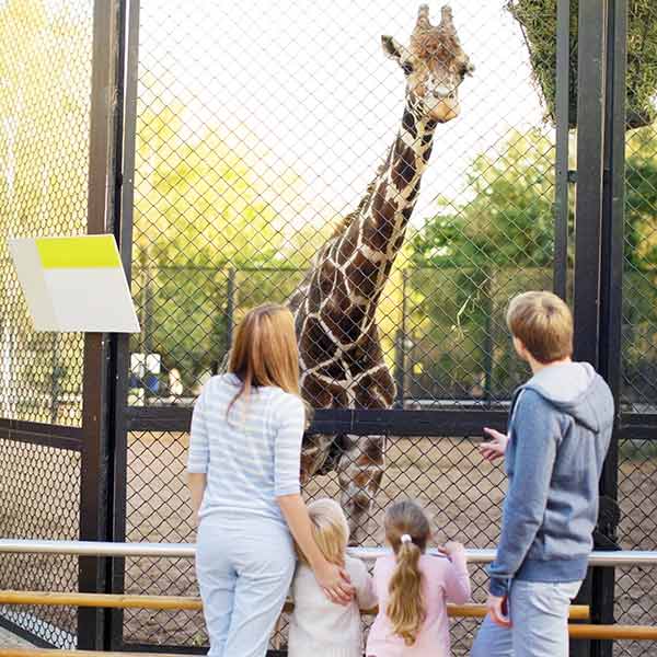 Family having fun at a zoo in the Netherlands