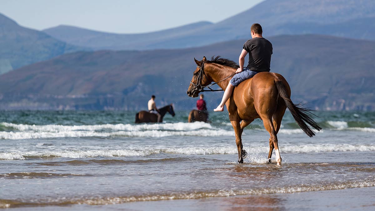 Paardrijden in graafschap Clare
