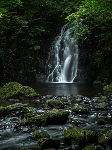 Glenoe waterfall near Larne