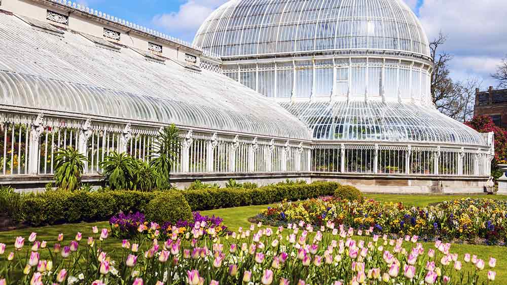 Plan your trip to the Palm House Gardens in Belfast