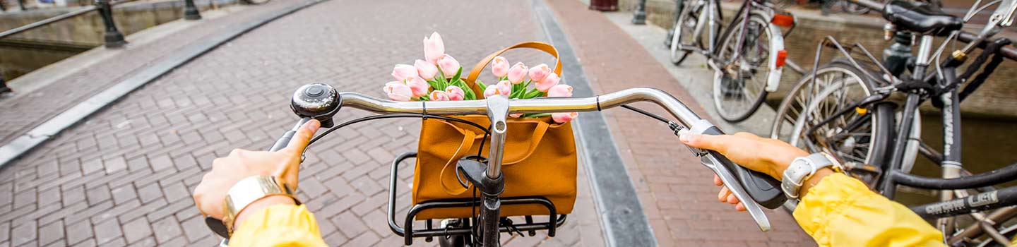 Give cycling a go during your Amsterdam Mini Cruise. 