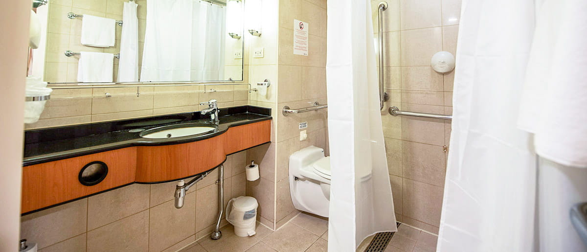 Photo of Accessible en-suite bathroom in a cabin on Hull to Rotterdam P&O Ferry